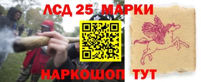 индика Заводоуковск