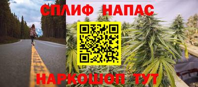 индика Заводоуковск
