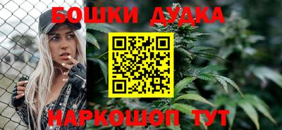 индика Заводоуковск