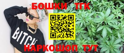 индика Заводоуковск