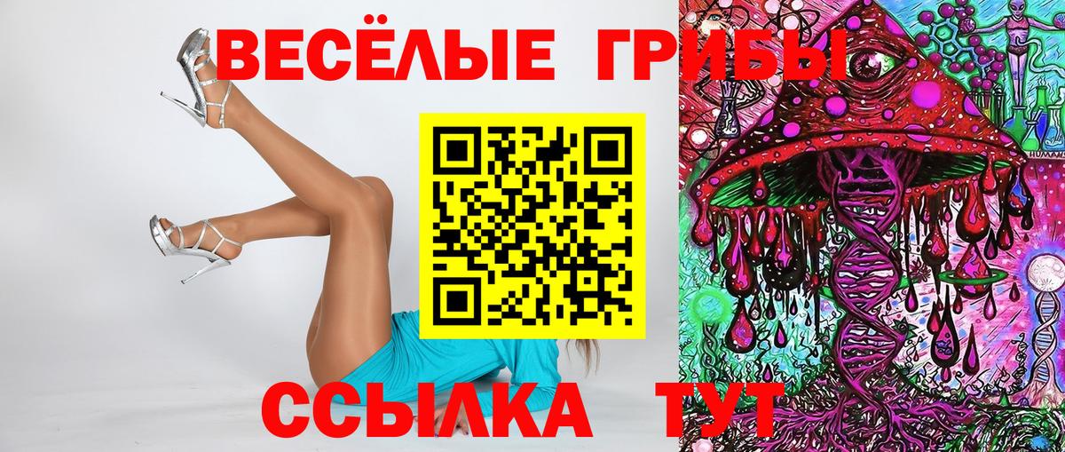 Галлюциногенные грибы Cubensis  Вход с VPN  Галлюциногенные грибы GOLDEN TEACHER  Сосновоборск 